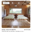 제주첫날두근 이미지