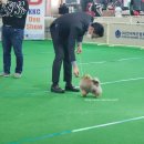 No.1 POM 이미지