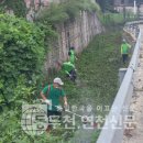 연동천 이미지