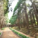 고흥숲속의바다 이미지