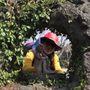 간세다리 이미지