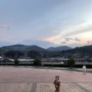 개화(아) 이미지