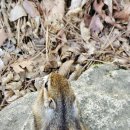 대청봉주유소 이미지