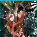 서울대공원 이미지