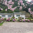 석장골여행 이미지