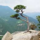 아랫목공인중개사사무소 이미지