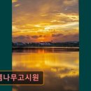 로뎀나무고시원