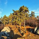 양지암등대길 이미지