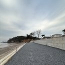 바다내음 | 서천 춘장대 근처 바다내음캠핑장 내돈내산 2박 대만족후기 (5번사이트)