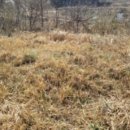 숭덕초등학교 병설유치원 이미지