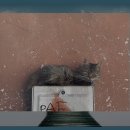 금강호 관광지 이미지