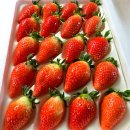 킹스베리 이미지