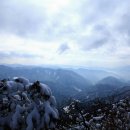 지천사거리 부근 이미지