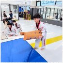 선도 키즈 태권도장 이미지