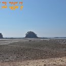 해변의 바람 이미지