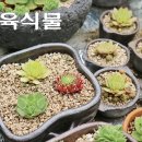 지현농장 이미지