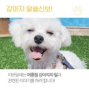 동탄호수유치원 이미지
