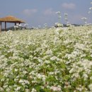 풍천농장 이미지