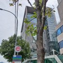 양재역 11번출구 이미지