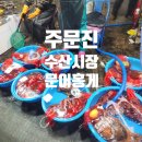묵호항 자연산 수산물 판매시장 | 주문진 어민 수산시장 살만한 해산물