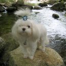 낙원펜션 이미지