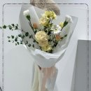 퓨어뮤게