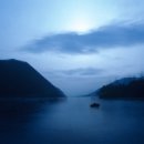 꽃이 피고 비가 내리면 이미지