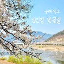 구례의길(섬진강길) | 구례 벚꽃명소 섬진강 벚꽃길, 너무 늦은 후기
