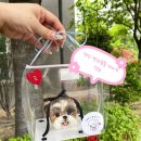 삽량로 | [댕유] 부산 강아지 케이크, 양산 애견 수제간식 한입 케이크 후기