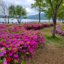 다산건강원 - 동대문구 약령중앙로 5 | 다산건강원
