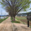 학사 1리 이미지