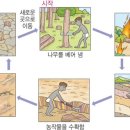 벌채지역 이미지