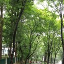수리산로 4 네이버블로그
