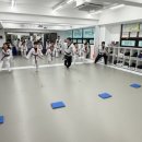 용인대 금메달 태권도 이미지