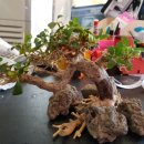 유목농장 이미지