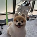 루이앤코코 이미지