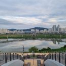 세종시청뒤편 이미지