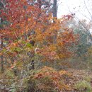 문안산주유소 이미지