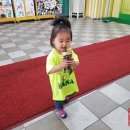 용인대성원태권도장 이미지