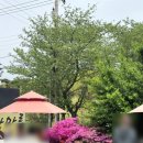 연수중학교 입구 이미지