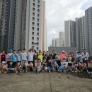 용인대단재태권도 이미지