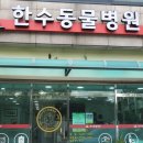 한수동물병원 이미지