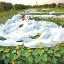 고은메디컬 이미지