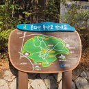 봉의산 순의비 | 춘천 봉의산 300 등산 초보 입문하기 좋은 코스‼️ 강력 추천🌟