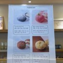 씨유 미금먹자골목점 | 도나스데이 분당점|미금역 카페 먹자골목 사이 도넛집