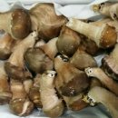 송원농원 이미지