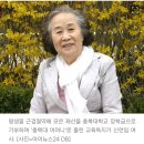 노점상 쳥생 모은 51억 기부한 신언임여사 별세 이미지