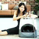 밸런스 핏 이미지