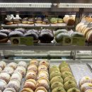 초코 | 서면 노티드 두바이 도넛 • 초코 말차 가격 후기