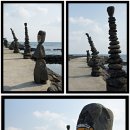 아이리스(IRIS) 이미지